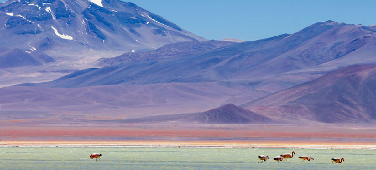 7 Parques Nacionales desconocidos en  Chile que debes visitar.